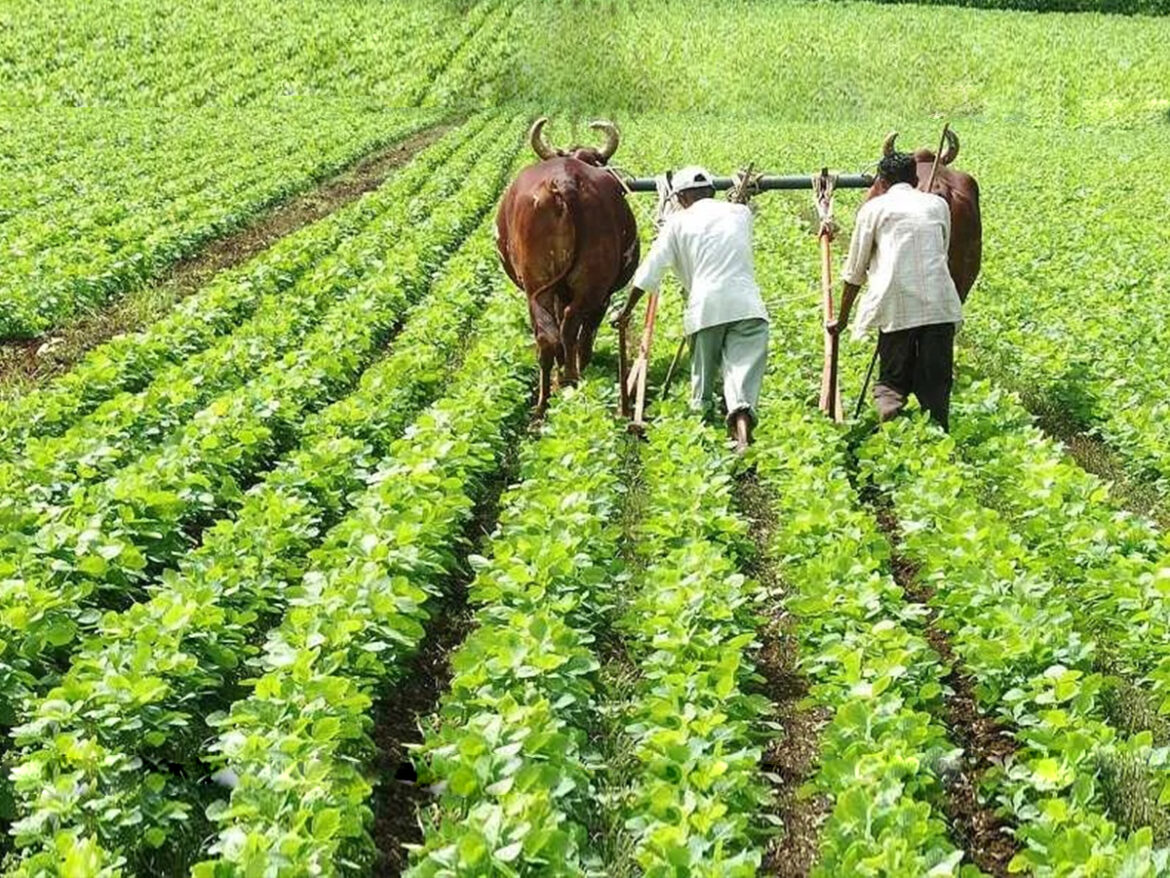 केंद्र सरकार ने आंध्र प्रदेश के किसानों को दी बड़ी राहत