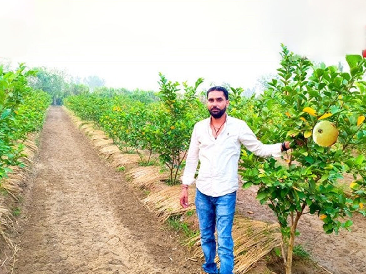 एचपी शिवा परियोजना से गांव की बंजर जमीन पर बने बाग, हिमाचल प्रदेश में बड़ा बदलाव