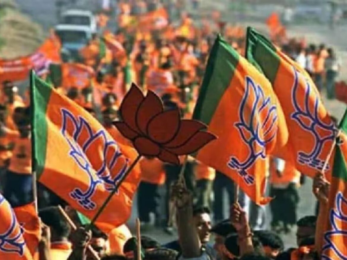 legislative council elections