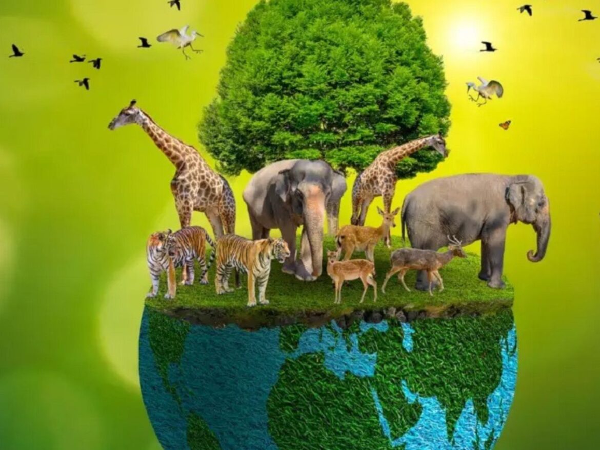World Wild Life Day
