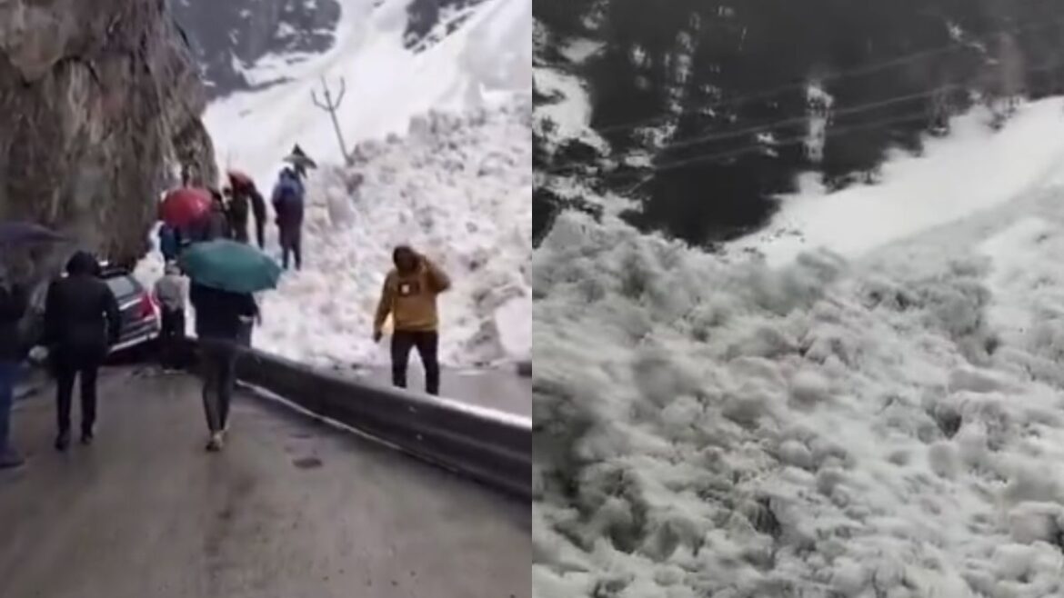avalanche in sonmarg