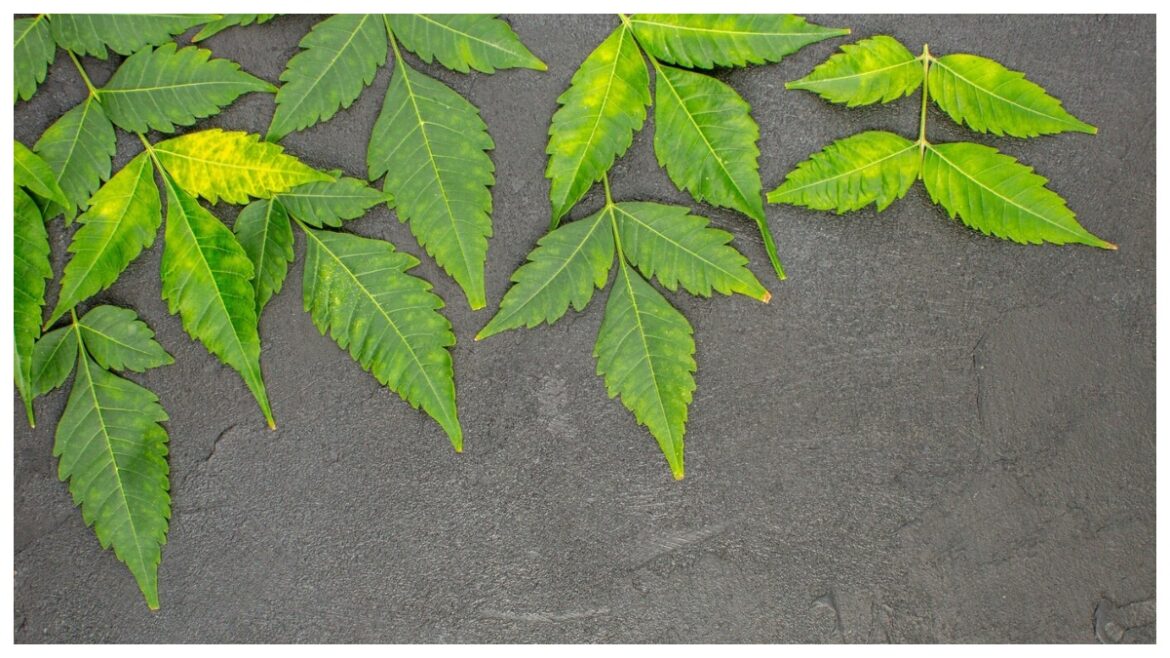 neem