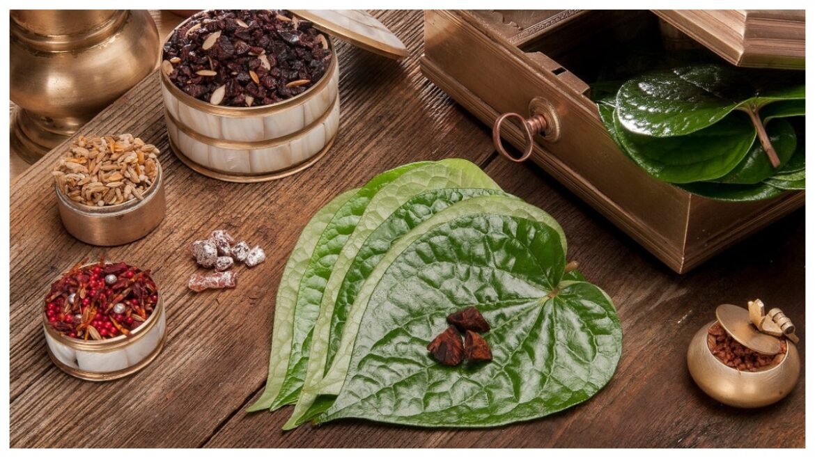 Betel Leaf: पान के पत्ते का पानी है बेहद गुणकारी, रोजाना पीने से मिलते हैं कई फायदे