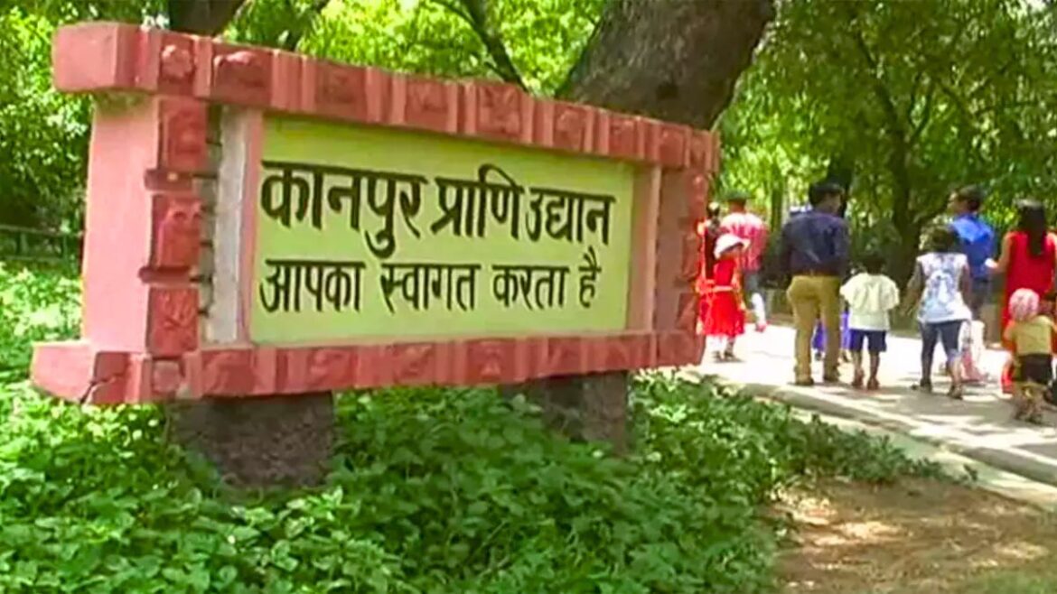 Kanpur: रील बनाओ इनाम पाओ, कानपुर चिड़ियाघर ने किया रील मेकिंग कॉम्पिटिशन