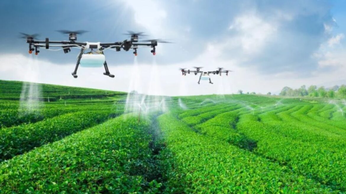 Civil Aviation sector