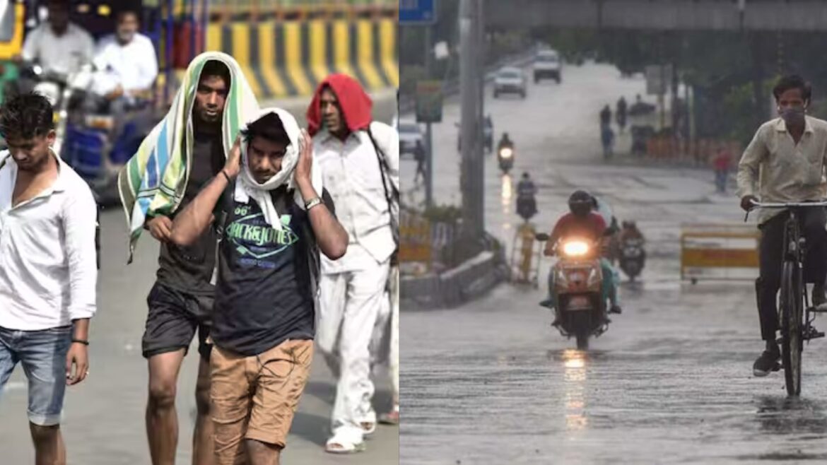 Weather Forecast Update