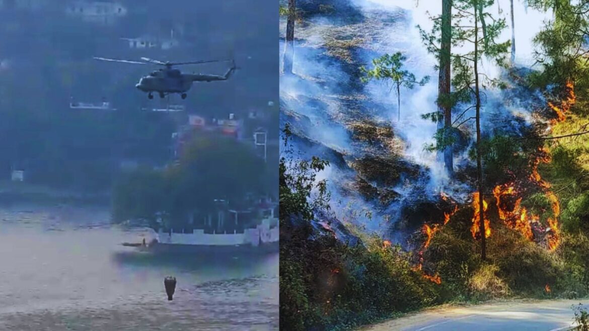 Nainital Forest Fire