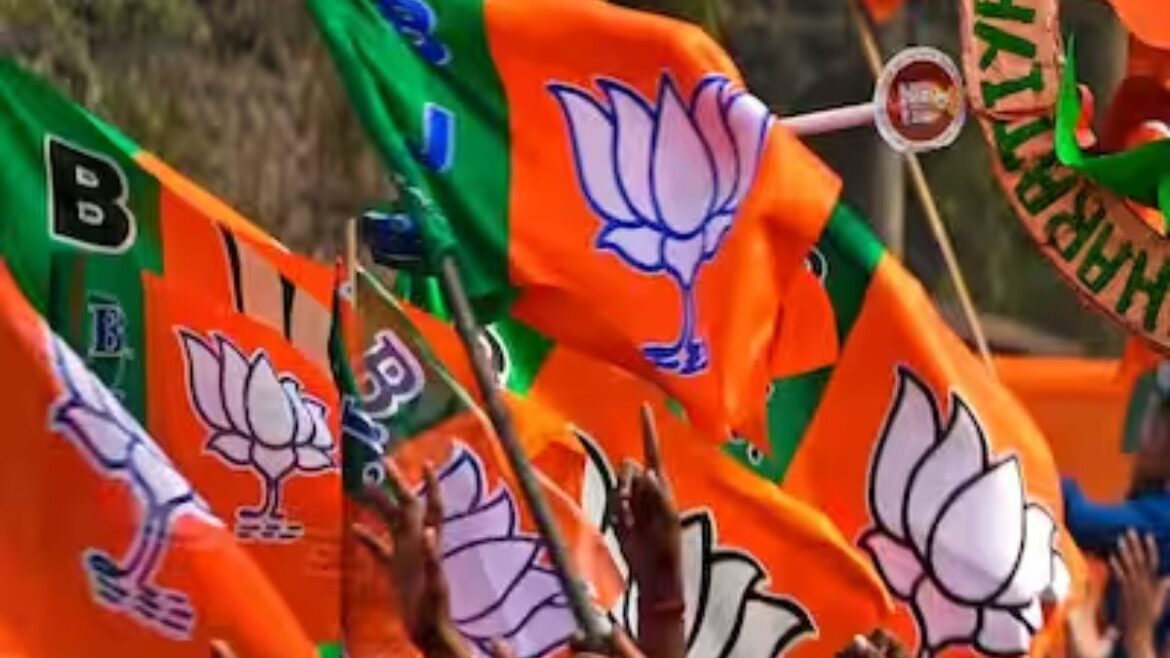 BJP Manifesto: BJP का घोषणापत्र जारी, पीएम मोदी समेत कई दिग्गज नेता रहे मौजूद