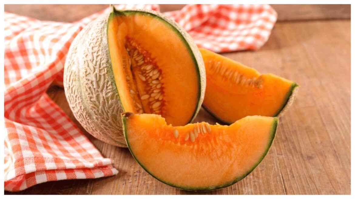 melon