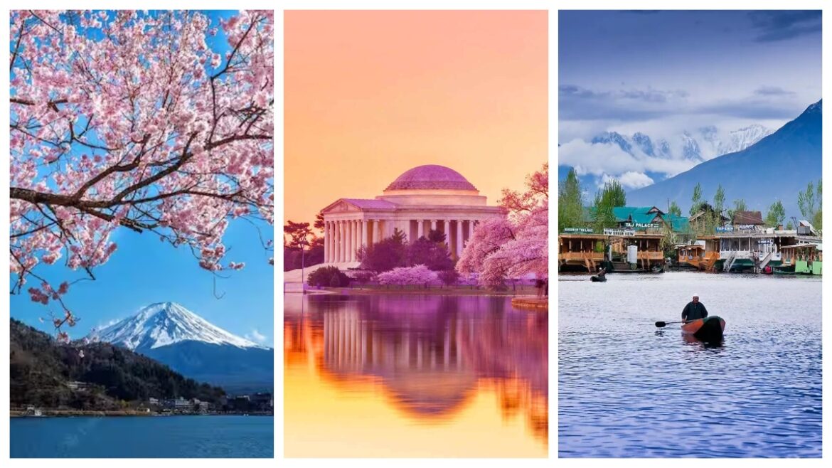 Spring Travel Ideas: स्प्रिंग सीजन में घूमने के लिए बेस्ट हैं भारत के ये 5 हिल स्टेशन्स