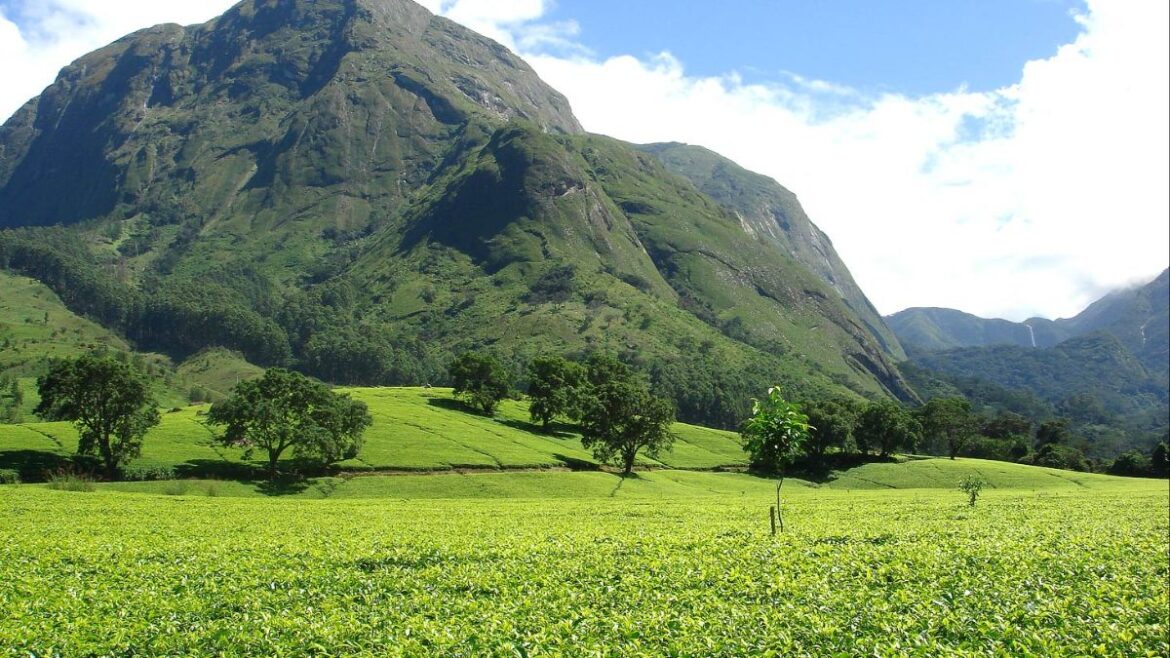 Tamil Nadu Elections 2024