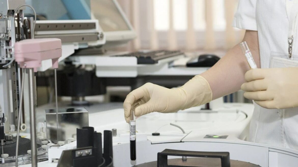 MP Nursing Scam Investigation