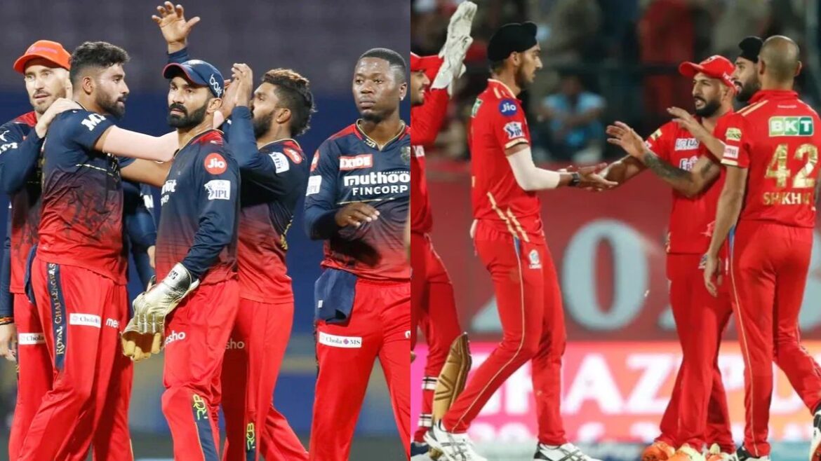 ipl 2024, rcb, punjab kings