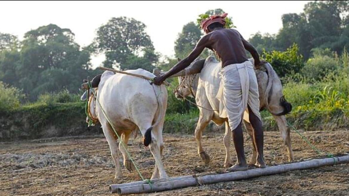 Anantapur Lok Sabha Seat 2024