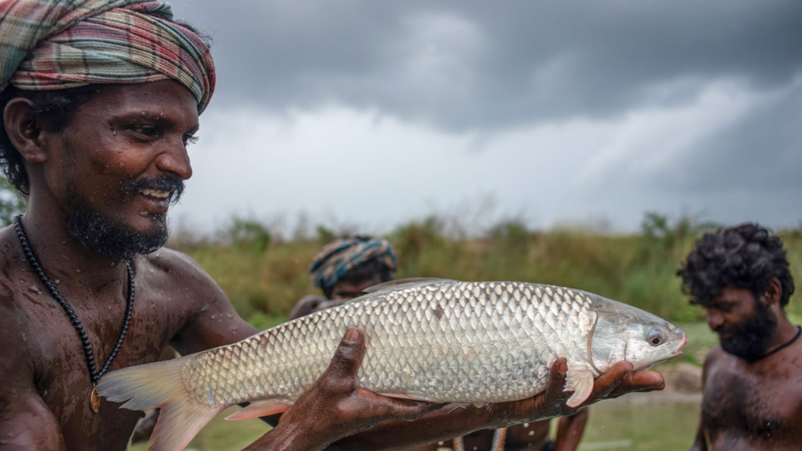 Kerala News: मछली पकड़ने पर 52 दिन रोक लगाने की तैयारी, जानिए कब से लगेगा प्रतिबंध