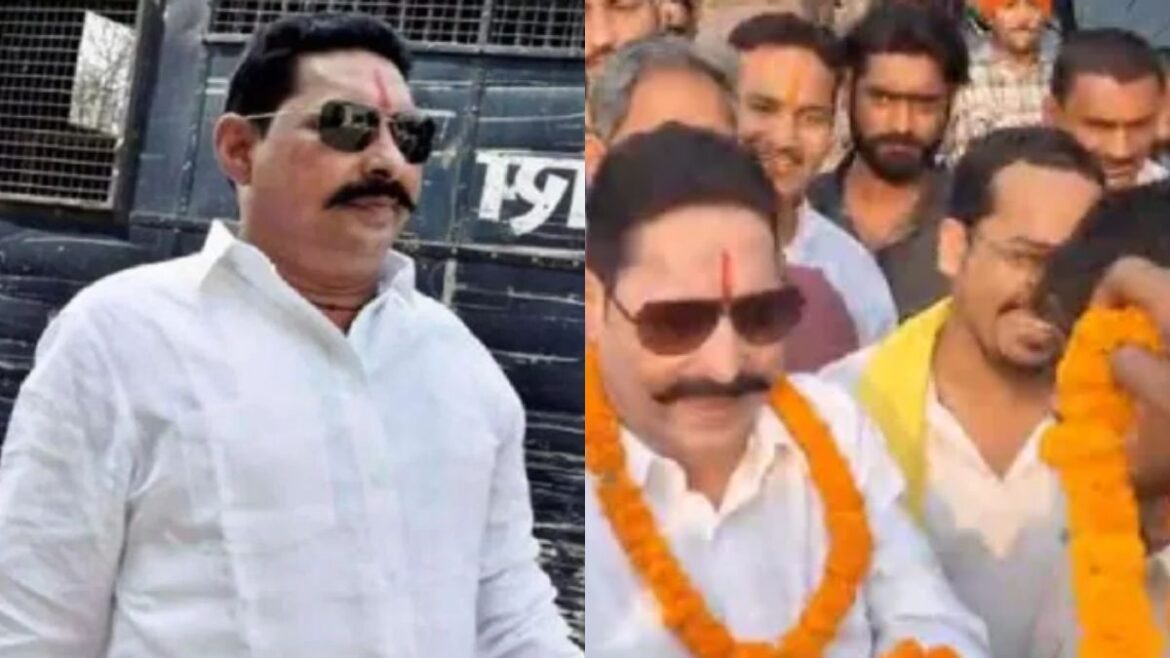 MLA anant kumar singh released jail