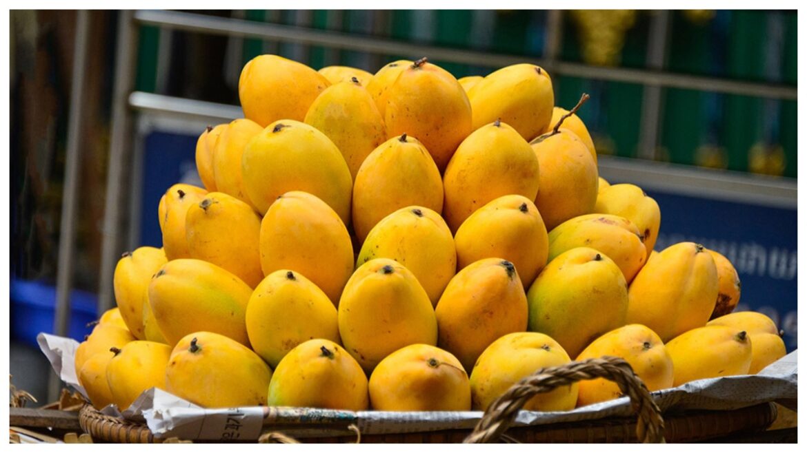 mango