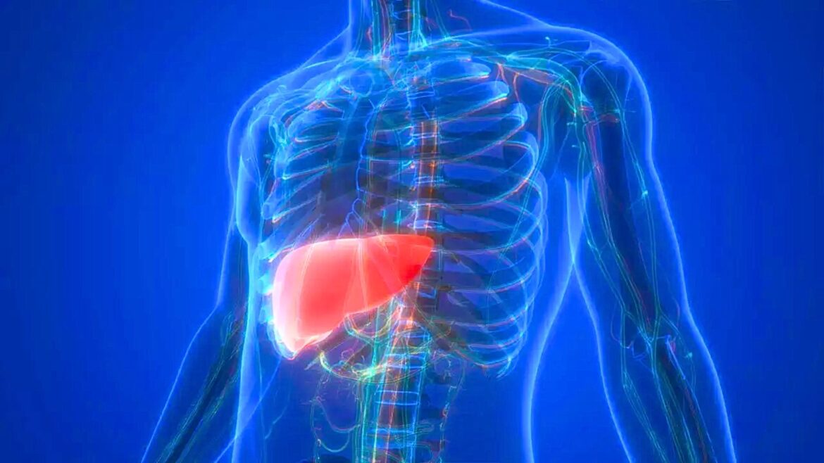 Liver Functions