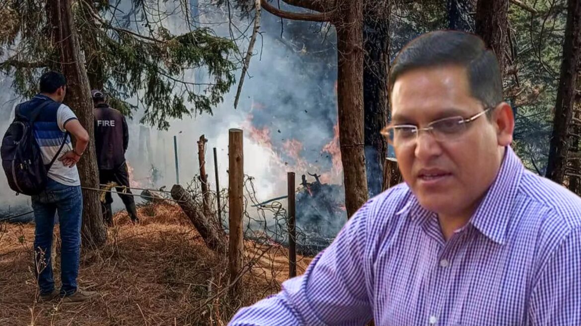 Uttarakhand Forest Fire