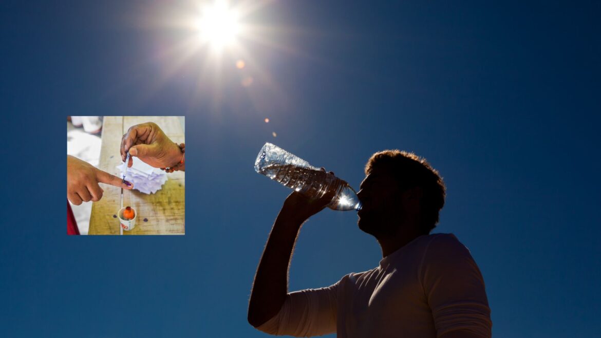 Whether Update In Election