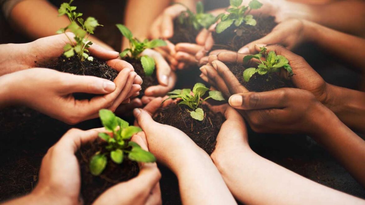 क्या है ‘मेक इंडिया ग्रीन’ मुहिम, जिससे अनीस अहमद ने लोगों को किया जागरूक?