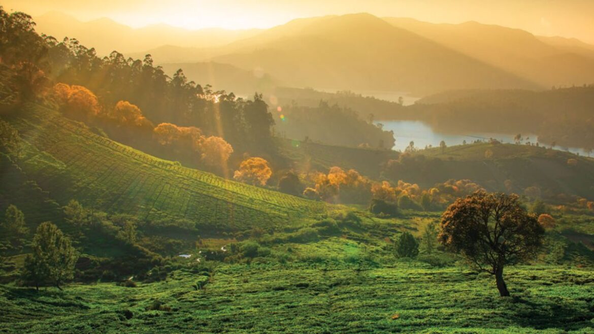 Nilgiris Tourist Places