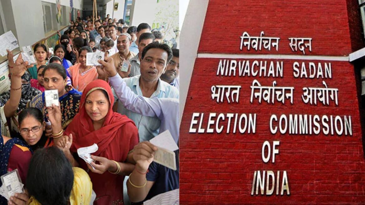 elections once again lok sabha assembly elections held on 13 seats in 7 states