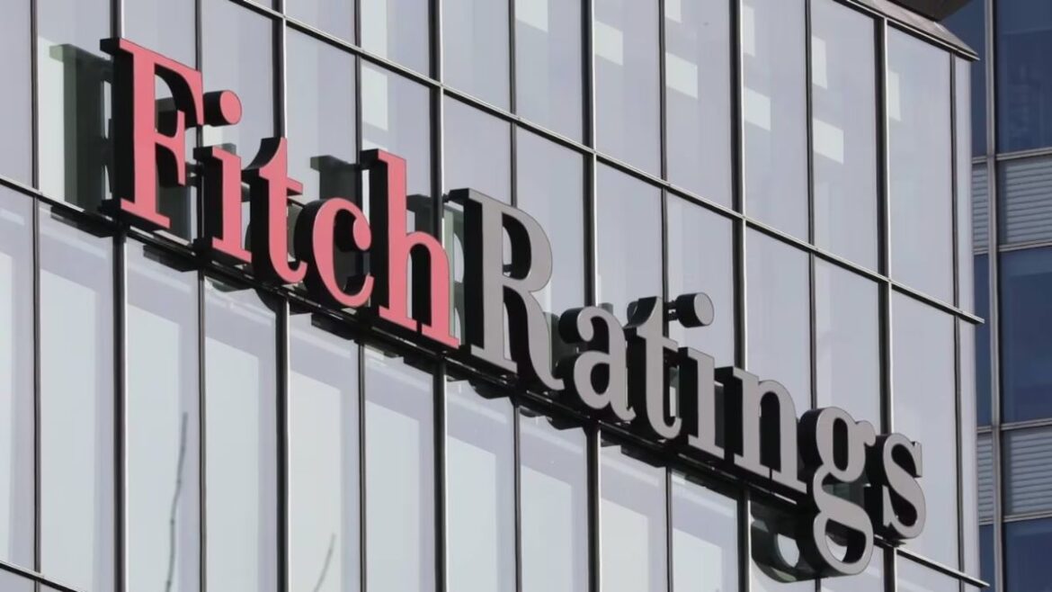 Fitch Report 2025