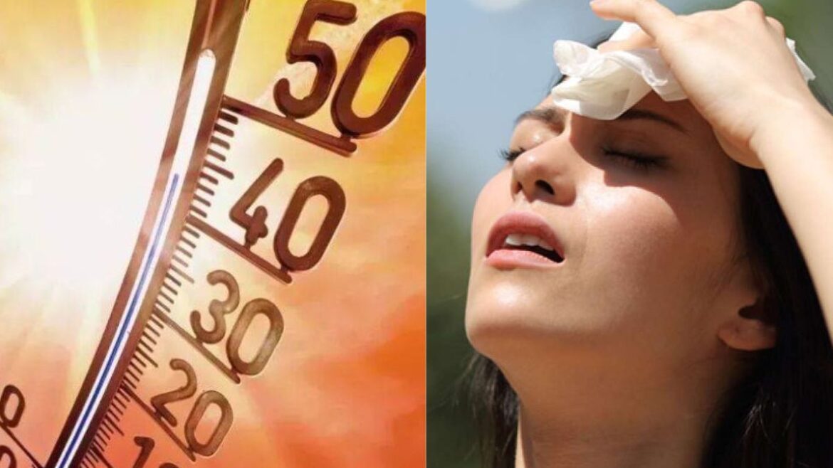 IMD Weather: दिल्ली समेत कई राज्यों में भीषण गर्मी के बीच लू का अलर्ट जारी, IMD ने बताया कहां कहां होगी बारिश