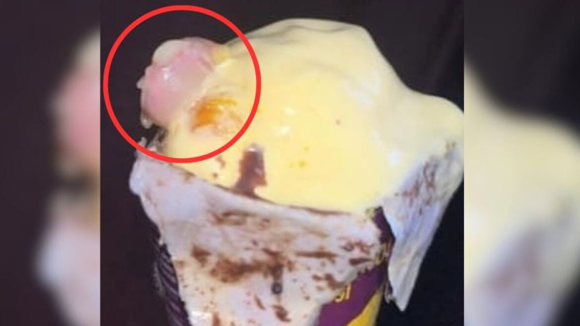 Mumbai Ice Cream Case