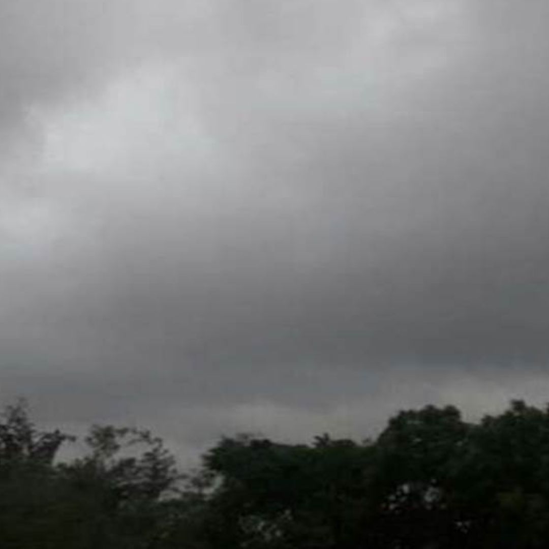 Monsoon Rain Update: कई राज्यों में बारिश के मद्देनजर IMD ने जारी किया अलर्ट, नोट करें अपने अपने यहां का हाल