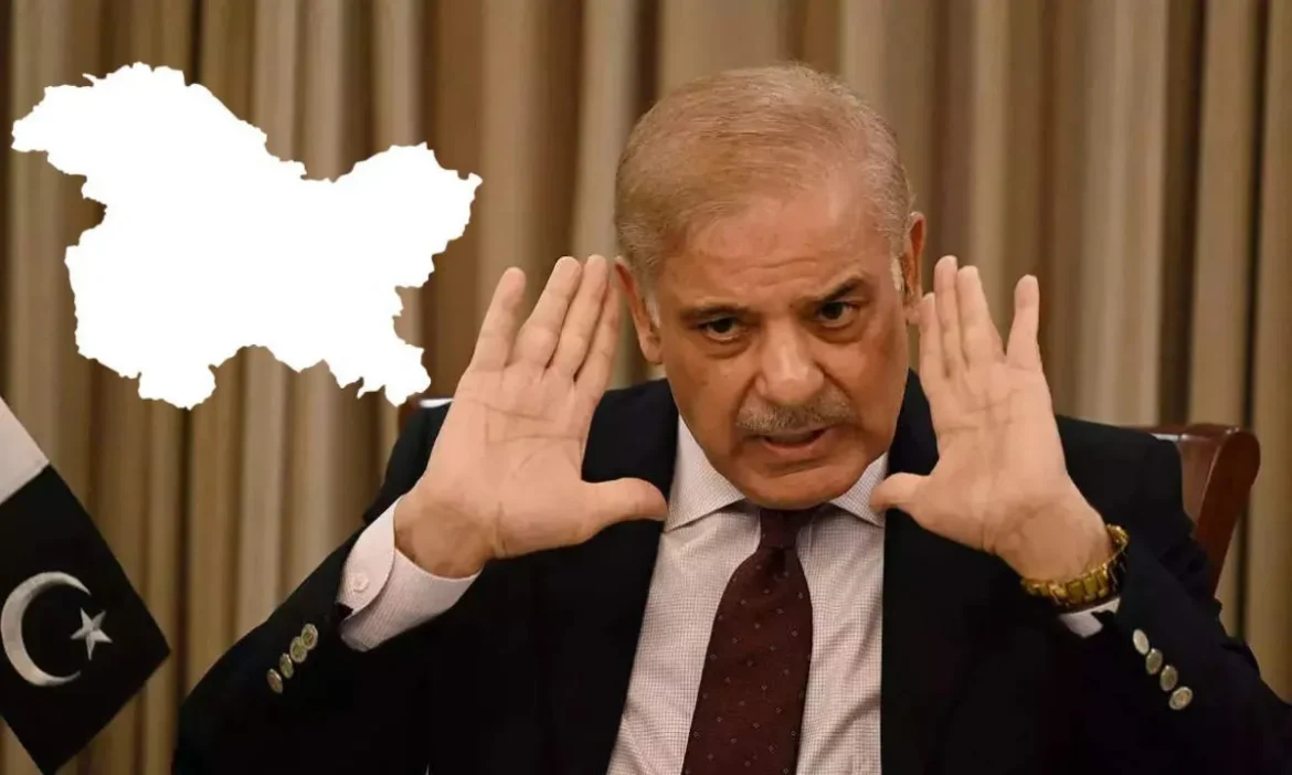 Pakistan again cried over Jammu and Kashmir in the meeting of Islamic countries