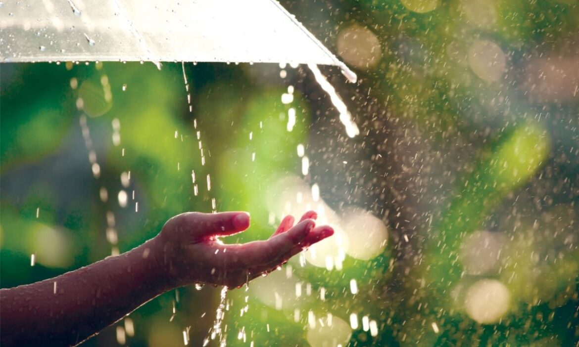 Weather Update: Monsoon becomes active again in many states, IMD issues rain alert; Know the weather condition of your area