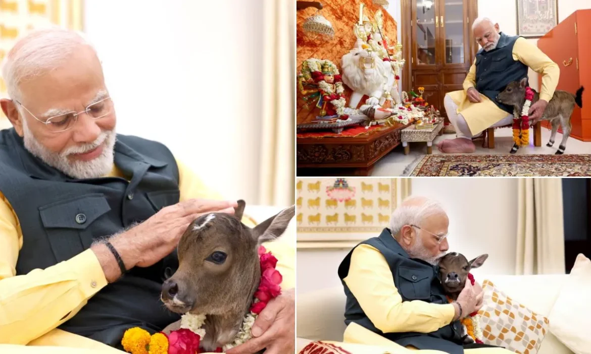 प्रधानमंत्री आवास में आया नन्हा मेहमान, PM Modi ने दुलारा और नाम रखा दीपज्योति- Live Times