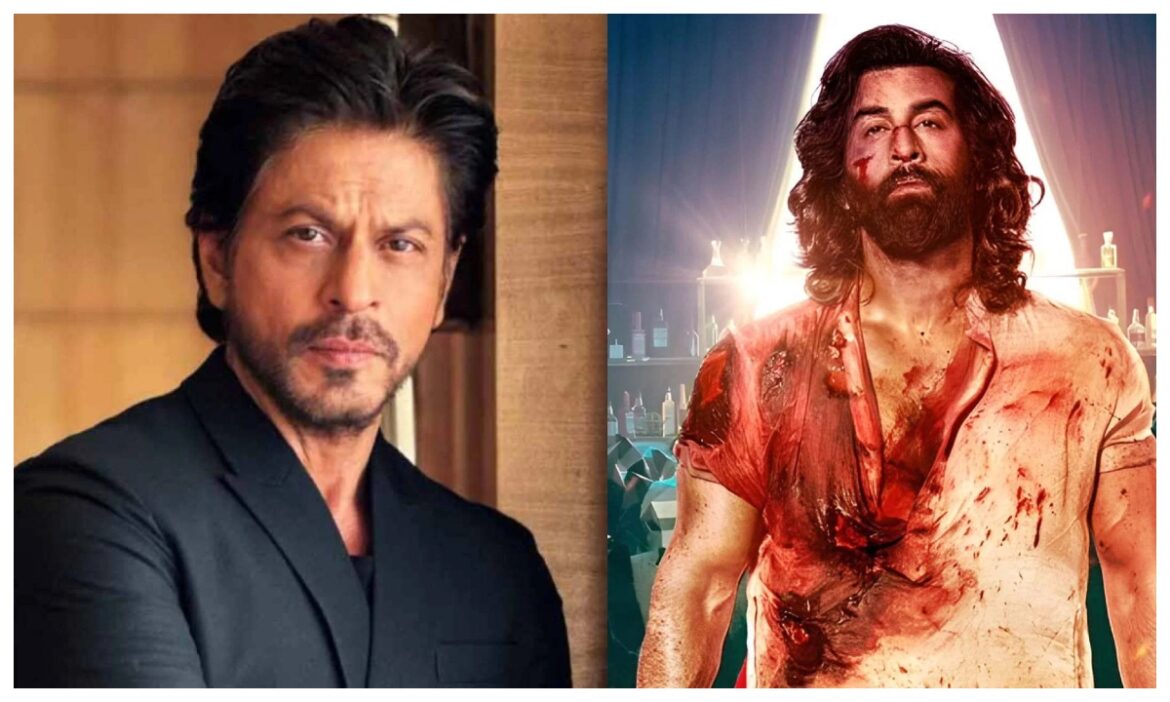 IIFA Awards: किंग खान को मिला बेस्ट एक्टर का अवॉर्ड, 'एनिमल' बनी बेस्ट फिल्म, जानिए किसने जीता कौन सा पुरस्कार