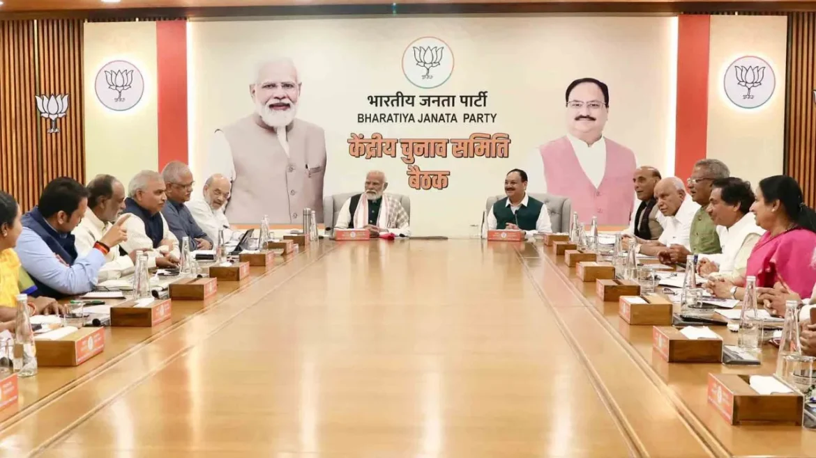 Bypoll 2024, BJP, Wayanad, Live Times