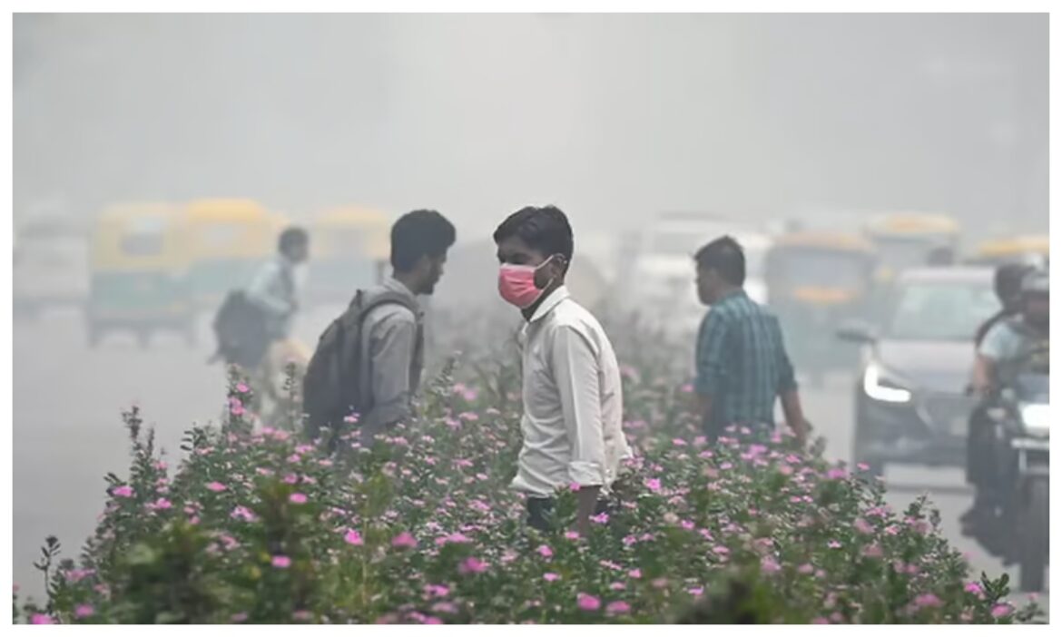Delhi Air Pollution Report
