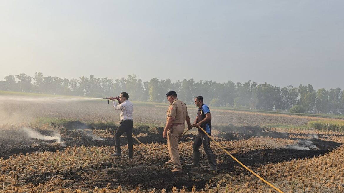 Stubble Burning In Haryana: हरियाणा में पराली जलाने पर किसानों को जुर्माना देना पड़ेगा, होगी FIR