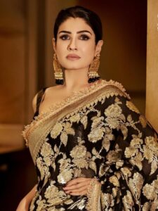 दीवाली के लिए मस्त-मस्त गर्ल Raveena से लें साड़ी Idea