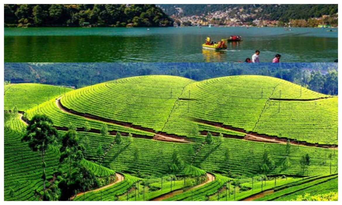 Golf Ground Ranikhet: टूरिस्ट के लिए खुशखबरी ! फिर से खुला दुनिया का दूसरा सबसे बड़ा गोल्फ कोर्स