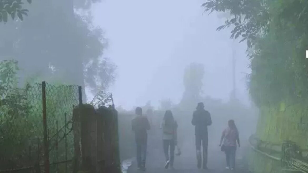 Winter 2024: क्या इस बार भारत में पड़ेगी भीषण ठंड ?