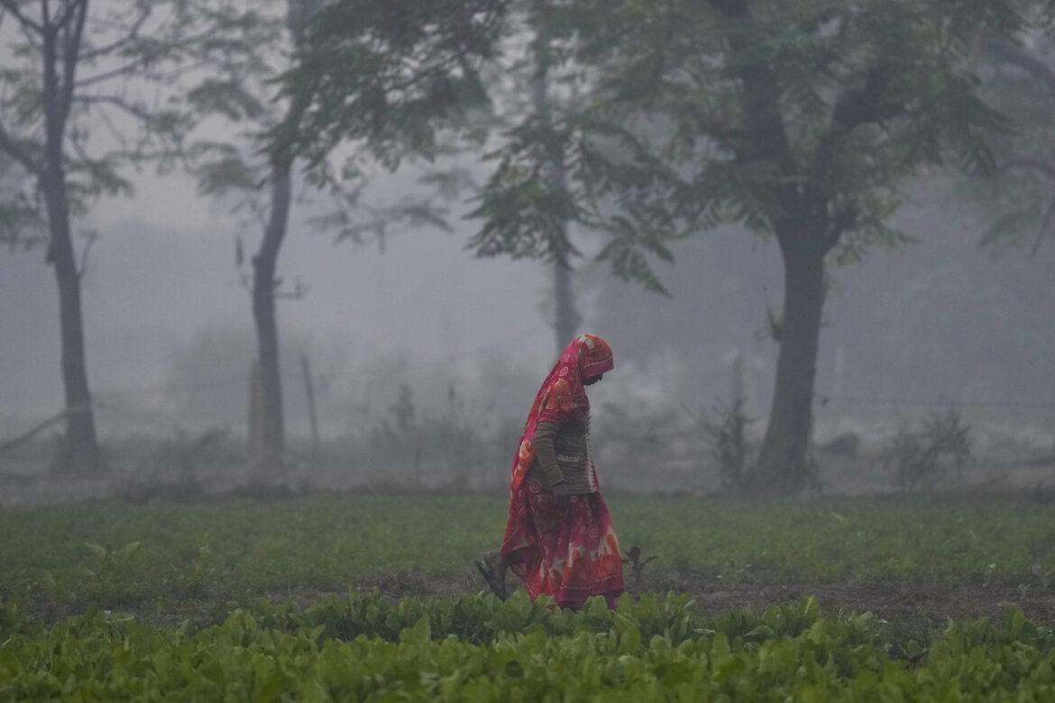 IMD Weather Update Indian Meteorological Department alert North India Winter Update Uttar Pradesh weather news