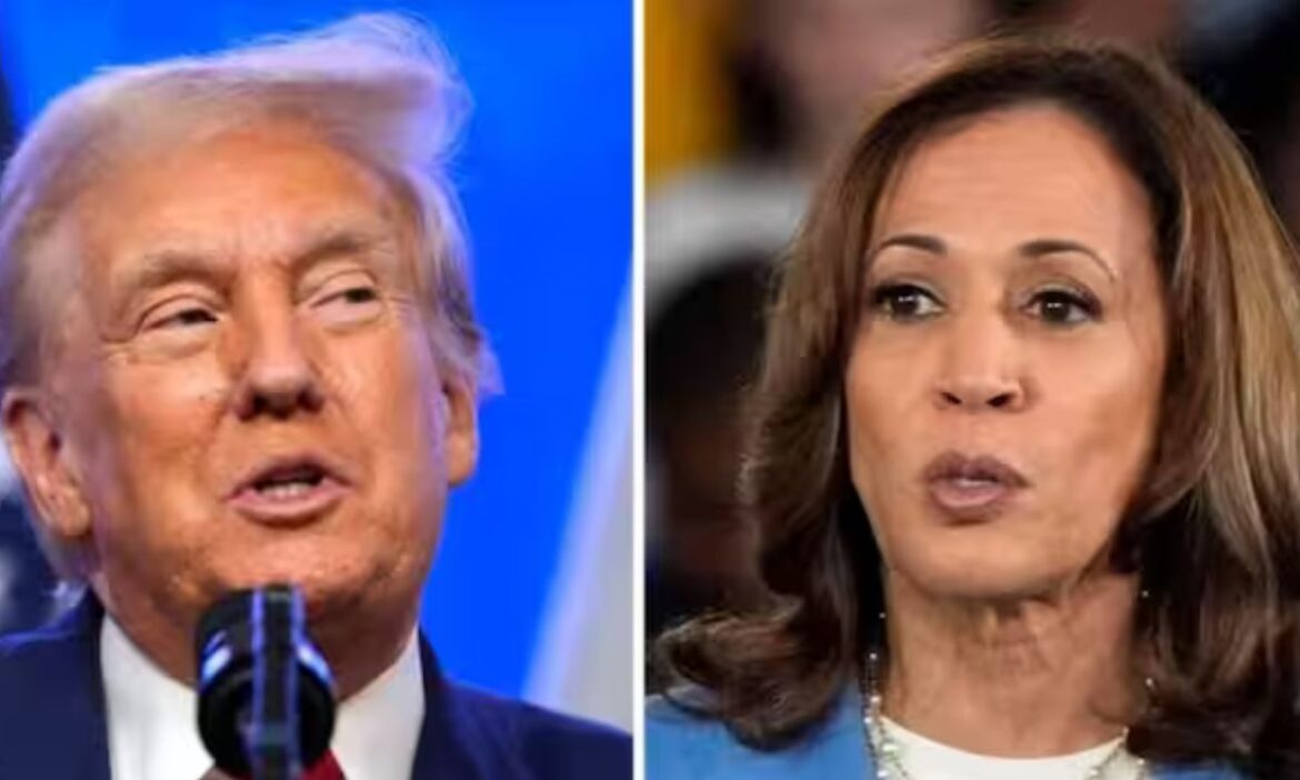 US Presidential Elections 2024: अमेरिका में 5 नवंबर को होने वाले राष्ट्रपति चुनाव से पहले न्यूयॉर्क में तेलुगु कम्युनिटी के सदस्यों ने वीजा, सरकारी की नीतियों और बढ़ी हुई खाने की कीमतों जैसे जरूरी मुद्दों पर मतदान करने की बात कही है.