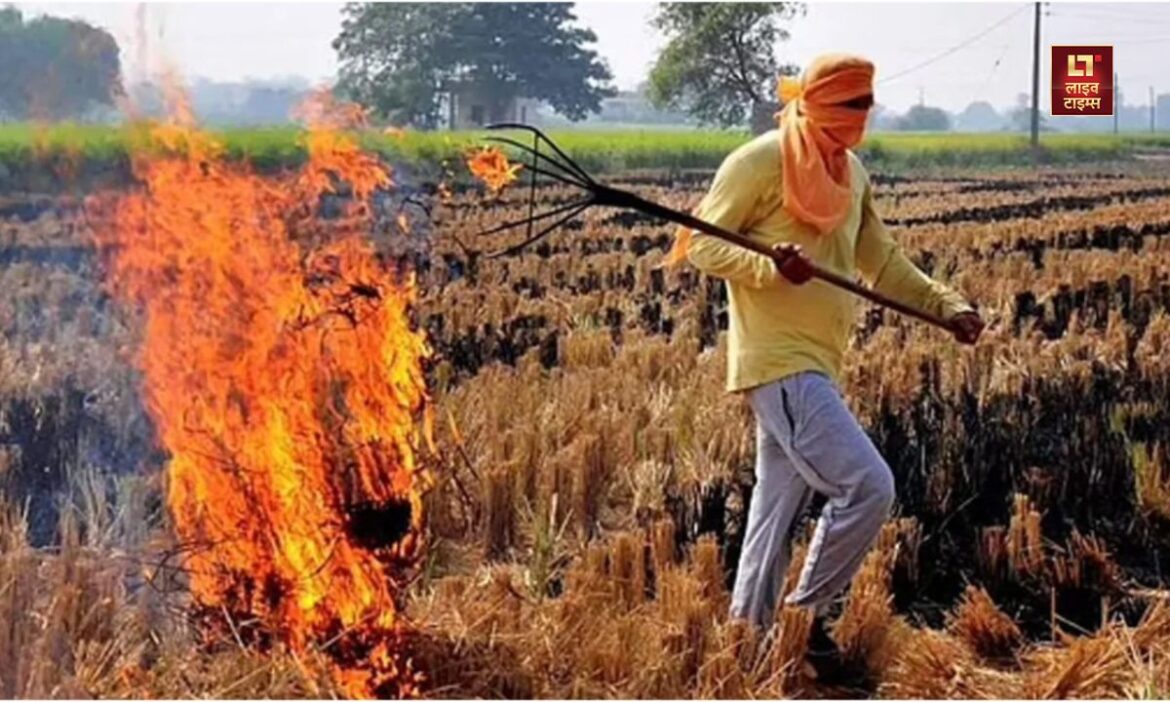 पराली जलाने वालों किसानों पर केंद्र सरकार सख्त, देना होगा अब दोगुना जुर्माना