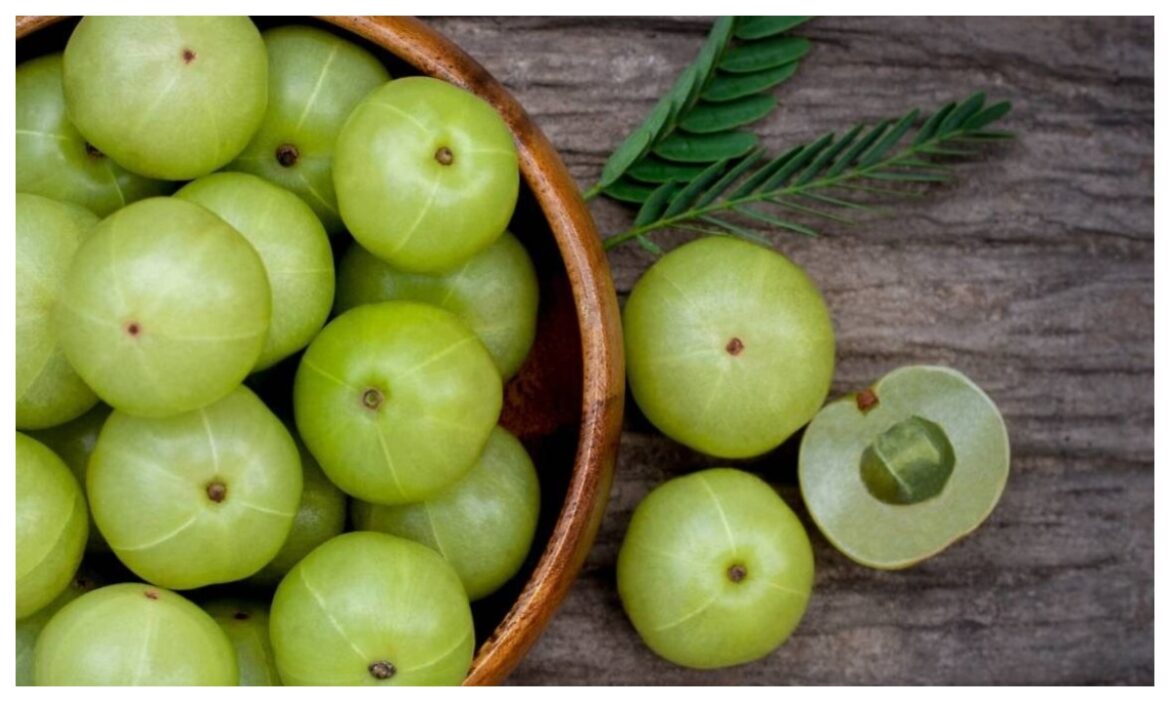 Amla Benefits in Winter: सर्दियों में इन 5 तरीकों से डाइट में शामिल करें आंवला, बढ़ेगी इम्युनिटी और सेहत को मिलेंगे ढेरों फायदे
