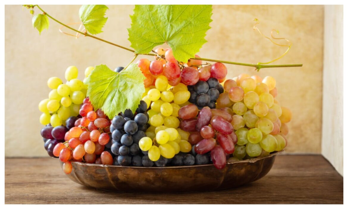 Benefits Of Eating Grapes In Winters: अंगूर है बेहद गुणकारी, सर्दियों में इसे खाने से सेहत को मिलते हैं गजब के फायदे