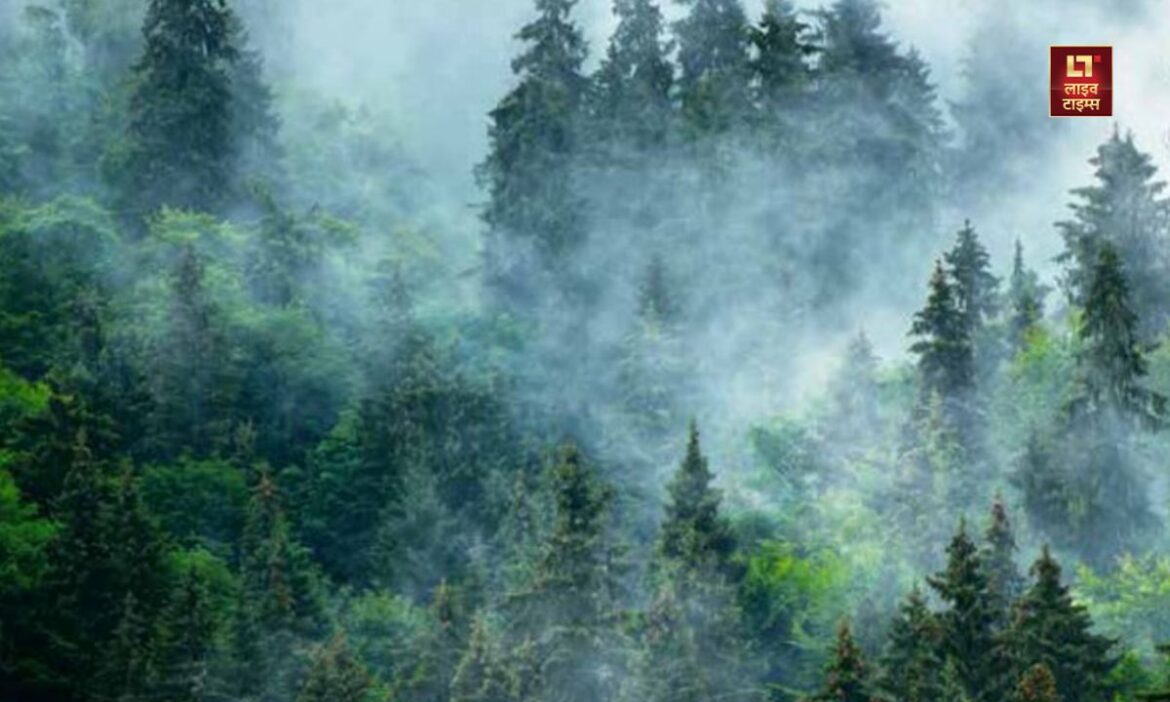 weather in Delhi Uttar Pradesh Bihar Haryana Punjab and Kashmir Delhi Weather forecast