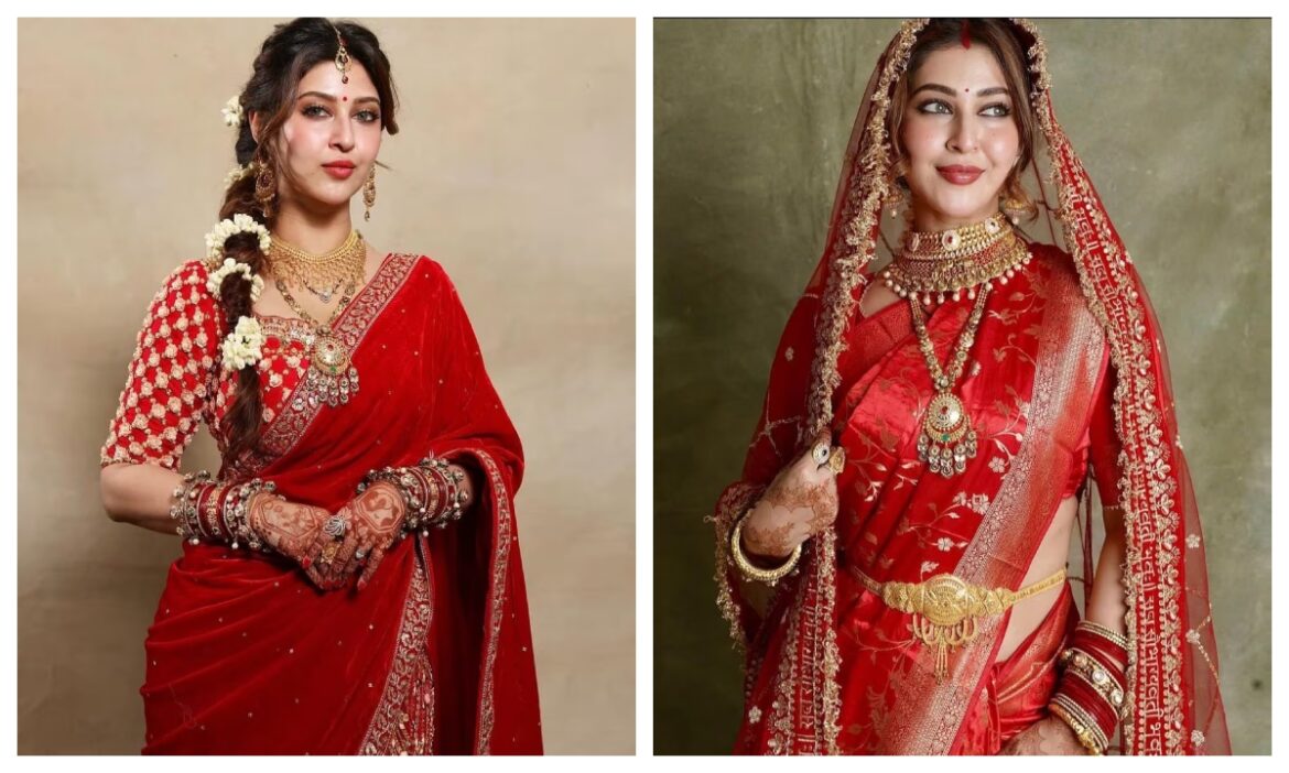 Sonarika Bhadoria Ethnic Looks: आज हम आपके लिए सोनारिका भदौरिया के ऐसे मनमोहक लुक्स लेकर आए हैं, जिनसे नई नवेली दुल्हन शादी के बाद पहनने के लिए आइडिया ले सकती हैं.