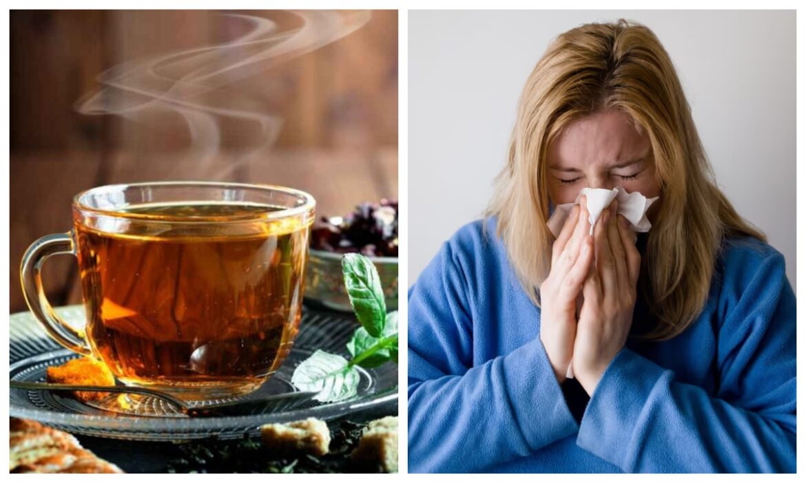 Cough and Cold Remedies: सर्दी-खांसी में जल्द पाना चाहते हैं आराम तो तुरंत बनाकर पी लीजिए तुलसी की चाय
