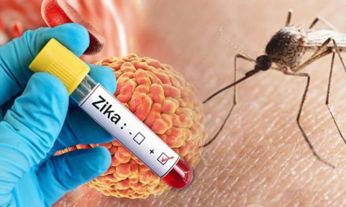 Zika Virus In India: आंध्र प्रदेश के नेल्लोर जिले के वेंकटपुरम गांव में जीका वायरस की आशंका से हड़कंप मच गया है. यह वायरस 5 साल के बच्चे में मिला है.